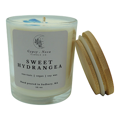 Sweet Hydrangea